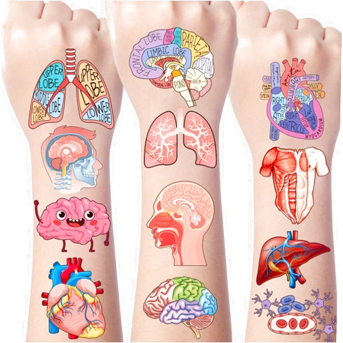 Yoyuspy Anatomy Human Temporary Tattoos - 200+ Human Anatomy Temporary Tattoo Kids Party Decorations Funny Body Part Tattoo Sticker Gifts for kids Cute Birthday Party Supplies Prizes Classroom