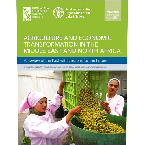 Alejandro Nin-Pratt,Hoda El-Enbabay,Jose Luis Figueroa,Hagar EliDidi,Clemens Breisinger Agriculture and economic transformation in the Middle East and North Africa: A review of the past with lessons for the future