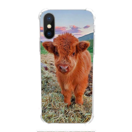 KatocZarl Baby Highland Cow Case Compatible with iPhone Xs/X, Slim Shockproof TPU Bumper Protective Cover Case