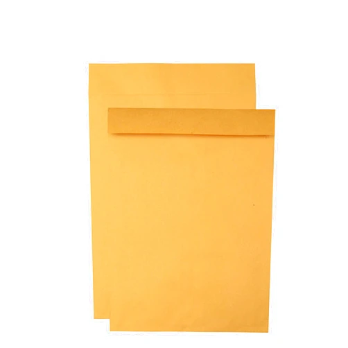 Quality Park Jumbo Kraft Envelopes, 17 x 22, Ungummed Catalog Envelopes for Storing and Organizing, 28 lb Kraft Paper, 25 per Box (QUA42356), Brown Kraft