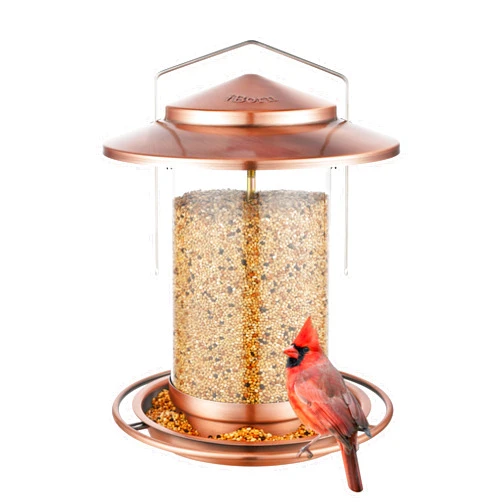 iBorn Metal Bird Feeder for Outside Hanging,Wild Bird Feeders for Cardinal,18cm Large Roof&Tray Brushed Copper 6 Port (Seed is not Included)