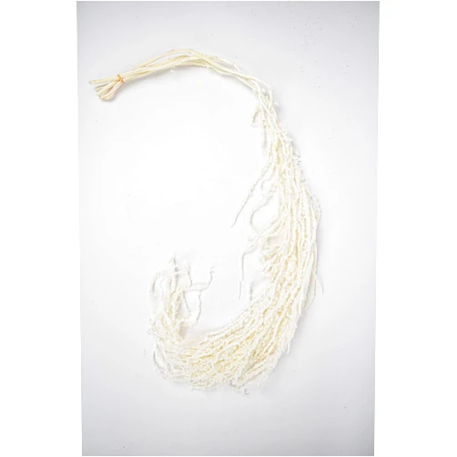 Generic Preserved Hanging Amaranthus (White)