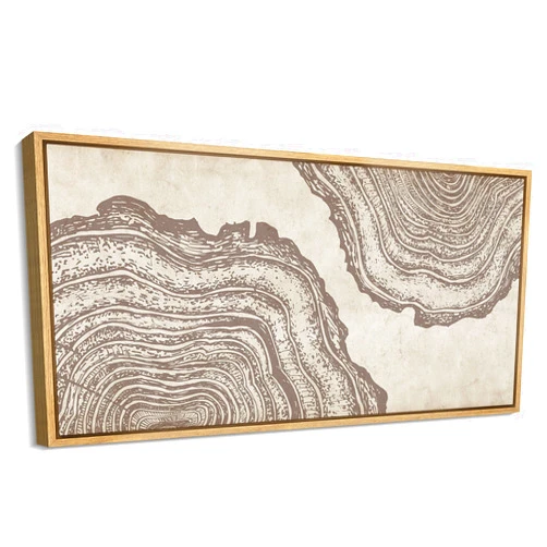 MUDECOR Extra Large Framed Canvas Print Wall Art Earthly Contours Abstract Topographic-Inspired Textured Antique Retro Fine Art Illustrations Decorative Colorful Multicolor for Bedroom - 60
