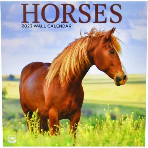 Turner Licensing TURNER PHOTOGRAPHIC Horses 12X12 Photo Wall Calendar (23998940025)