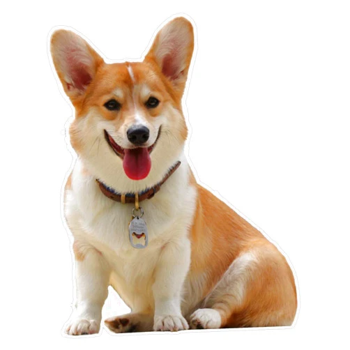 SMJ Designs Corgi Vinyl Waterproof Sticker Decal Car Laptop Wall Window Bumper Sticker 5