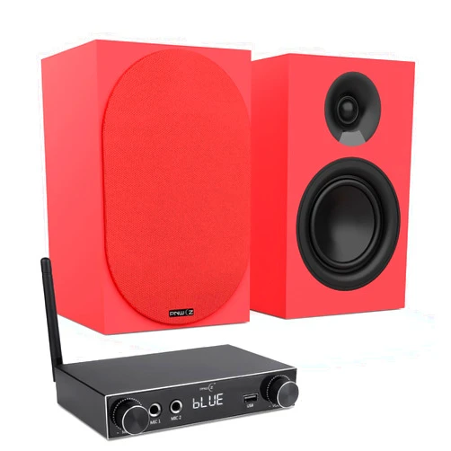 PNWCZ 5.25-inch Passive Bookshelf Speakers, Studio Monitor Speakers with 2-Channel Mini Pro Stereo Speaker Receiver, Bluetooth Compatible, red, Pair