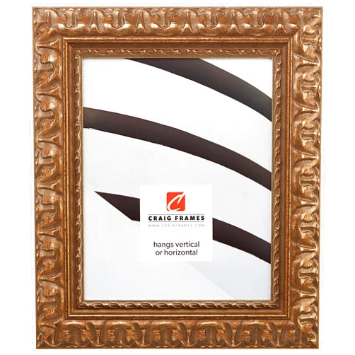 Craig Frames 16x20 Picture Frame, 2