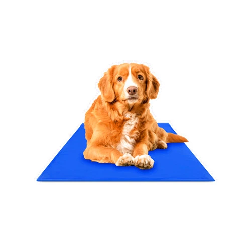 CHILLZ Hugs Pet Products Chillz Dog Cooling Mat, Medium - Pressure Activated Cooling Mat for Dogs and Cats - Stays Cool for 1 Hour - 19.5 x 15.7 Inches