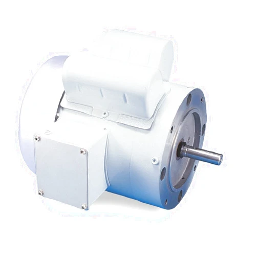 Leeson 114311.00 White Epoxy Painted Washguard Motor, 1 Phase, 56C Frame, Round Mounting, 1/3HP, 1800 RPM, 115/208-230V Voltage, 60Hz Fequency