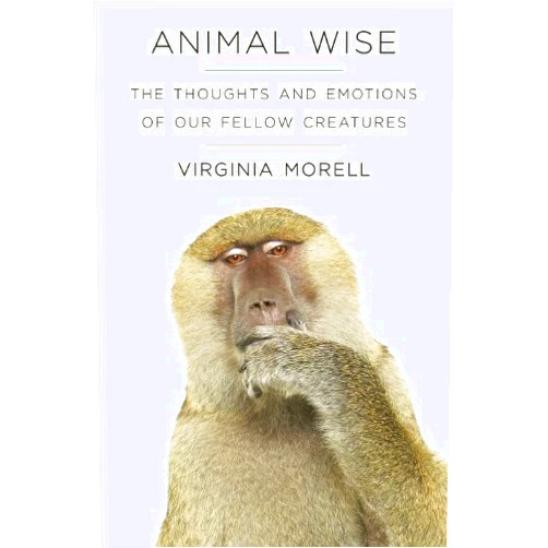 By Virginia Morell (Author) Animal Wise: The Thoughts and Emotions of Animals by Virginia Morell (2013-05-14)