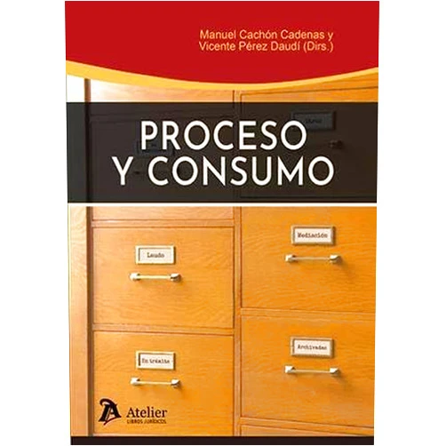 Manuel Cachón Cadenas Proceso y consumo