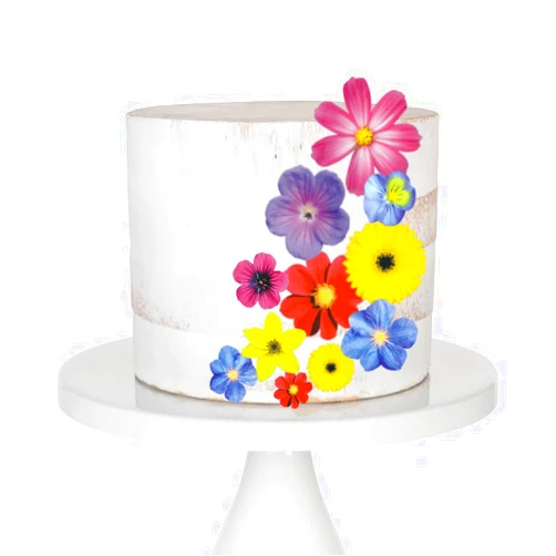 Sylvia&Vicky Cake Wafer Flowers Decorations Edible, Edible Cupcake Decorations (72pcs)
