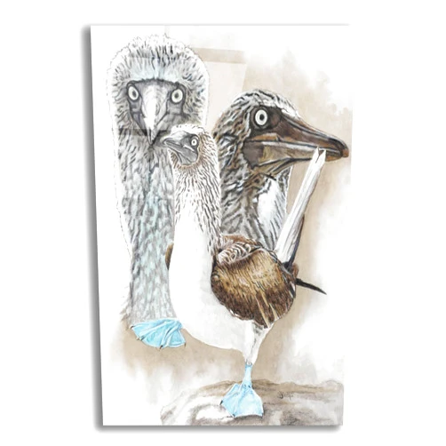 Epic Art 'Dapper' by Barbara Keith, Acrylic Glass Wall Art, 12