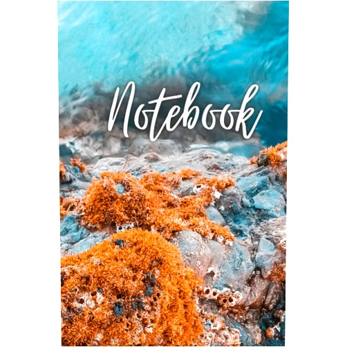 Rollason Press Notebook: Beautiful elegant rockpool journal with 120 lined pages, perfect for taking notes or composition at work, school and college