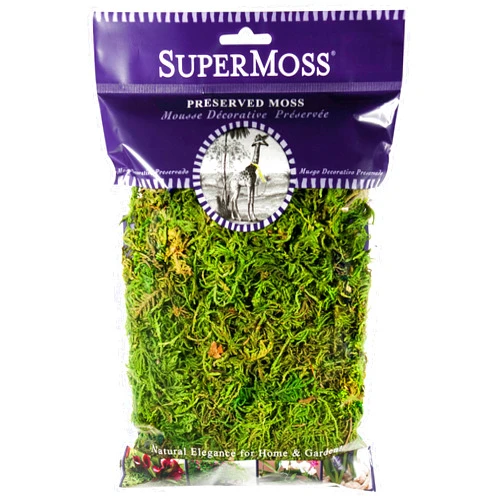 SuperMoss (25320) Forest Moss Preserved, Fresh Green, 2oz