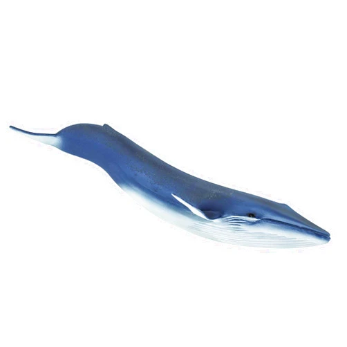 Safari Ltd. Blue Whale Figurine - Detailed 11