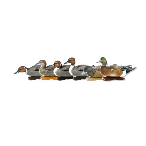 Avery PG Marsh Pack (1/2 Dozen)