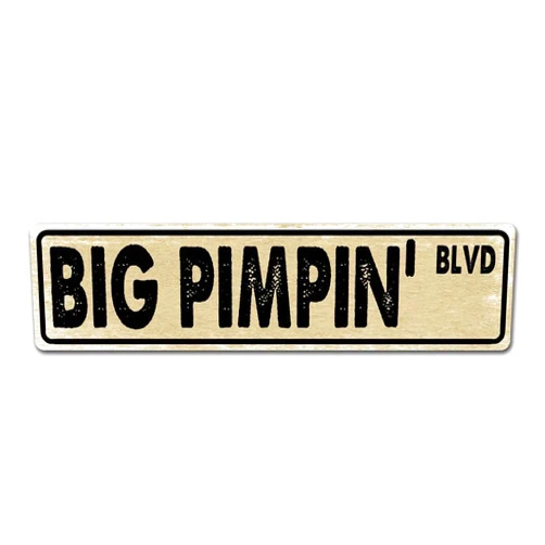 SAODOMA Vintage Street Signs ST AVE DT Big Pimpin Retro Metal Tin Sign Plate Drive Way Road Street Man Cave Wall Decor Sign 4x16 Inches