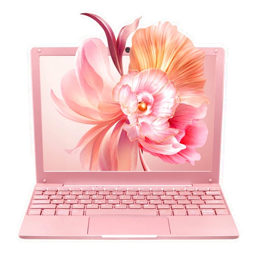 BINTEC 10.1 inch Ultra-Thin Portable Mini Laptop, Celeron N4020 Processor (up to 2.8Ghz), 8GB RAM DDR4,Weight only About 0.8Kg,Built-in Webcam, WiFi, Easy to Carry (Rose Gold, 8G+960GB SSD)
