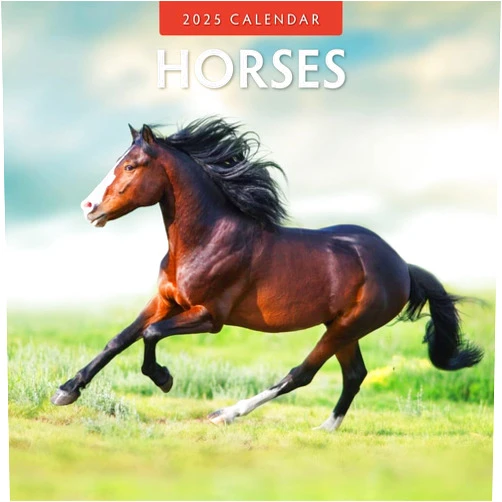 Red Robin Publishing Red Robin 2025 Horses Monthly Wall Calendar | 12