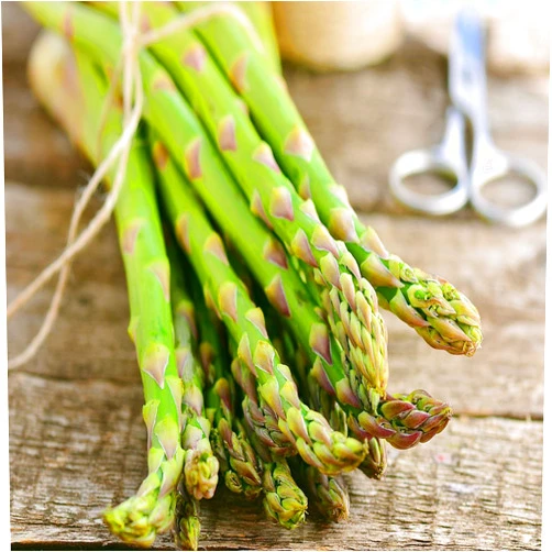 Nianyan Jersey-Knight 25 Live Asparagus Bare Root Plants -2yr-Crowns