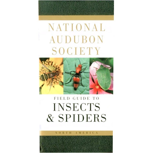 National Audubon Society Field Guide to Insects and Spiders: North America
