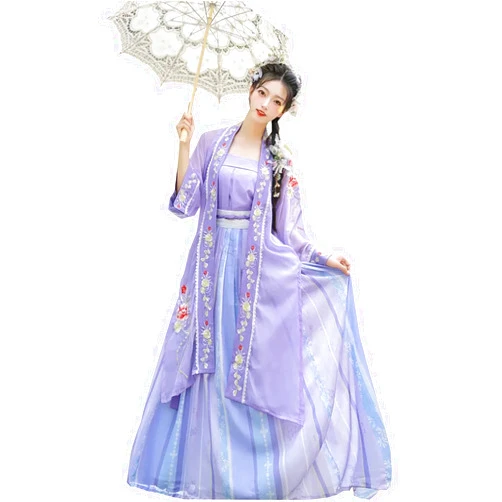 MIDERDO Hanfu Chinese Style Hanfu Halloween Christmas Cosplay Costume Student Performance Costume Elegant Fairy Skirt (Color : Purple, Size : Small)