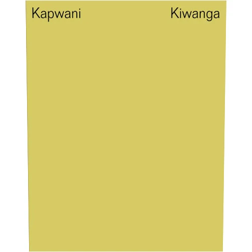 Vanessa Agard-jones,Omar Berrada,Amzat Boukari-yabara,Clement Dirie,Kapwani Kiwanga Kapwani Kiwanga