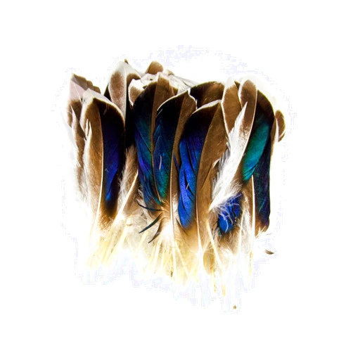 FEARAFTS 50Pcs Natural Feathers for Crafts 4-6inch（10-15cm）DIY Carnival Halloween Handwork Clothing Costumes Hair Hats Crafts Home Wedding Party Decoration Duck Feathers