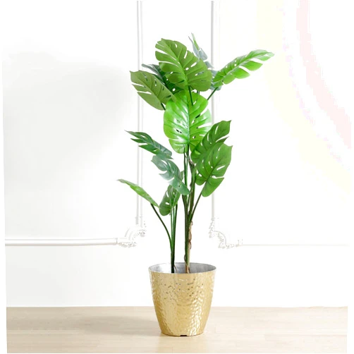 Efavormart.com Efavormart 11