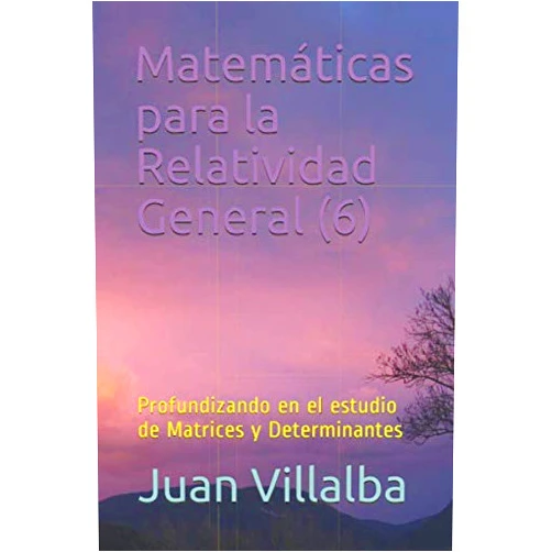 Juan Villalba Matemáticas para la Relatividad General (6): Profundizando en el estudio de Matrices y Determinantes (Spanish Edition)