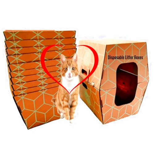 Cats Desire - 12 Trays, Disposable Litter Boxes for Cats - Litter Box, Fits Large Cats - Water Resistant Cat Litter Box - Made in USA, 19