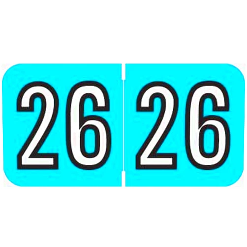 Doctor Stuff 2026 Year Labels, Doctor Stuff 2026 Chart Stickers, Light Blue/Black Color Coded, Amerifile Style, USA Made Year Stickers for End Tab File Folders, 500/Roll, 1 Roll, 3/4