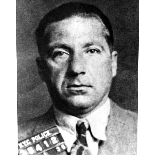 Home Comforts Gangster Crime Boss Mobster Frank Costello Mugshot - Vivid Imagery Laminated Poster Print 12 Inch by 18 Inch