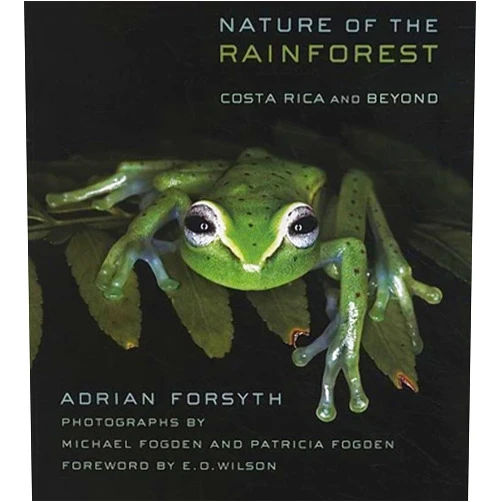 By Adrian Forsyth (Author), Patricia Fogden (Photographer), Michael Fogden (Photographer), E. O. Wilson (Foreword) & 1 more Nature of the Rainforest: Costa Rica and Beyond (Zona Tropical Publications)