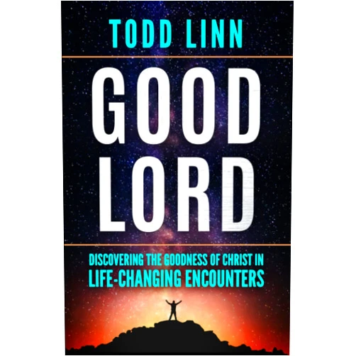 Todd Linn Good Lord: Discovering The Goodness Of Christ In Life-Changing Encounters