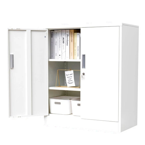 CJF Pantry Cabinet, Metal Pantry Storage Cabinets with Doors and 2 Adjustable Shelves, 36