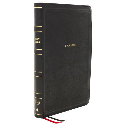 By Thomas Nelson (Author) KJV Holy Bible: Giant Print Thinline Bible, Black Leathersoft, Red Letter, Comfort Print: King James Version