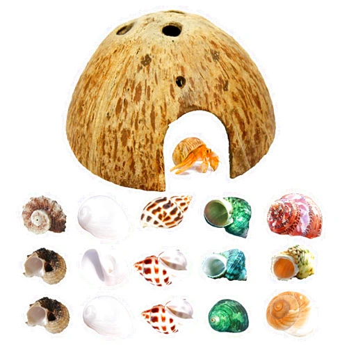 SINKOO Hermit Crab Shell Growth Seashells 15 PCS (7 Types) Natural Coconut Shells Hut for Fish Tank Decor Hide Reptile Hideouts