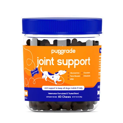 PupGrade Joint Support Supplement for Dogs - Natural Glucosamine Chondroitin with MSM - Hip & Joint Pain Relief - Recommended for Hip Dysplasia, Arthritis & Joint Disease - USA Tested - 60 Chews