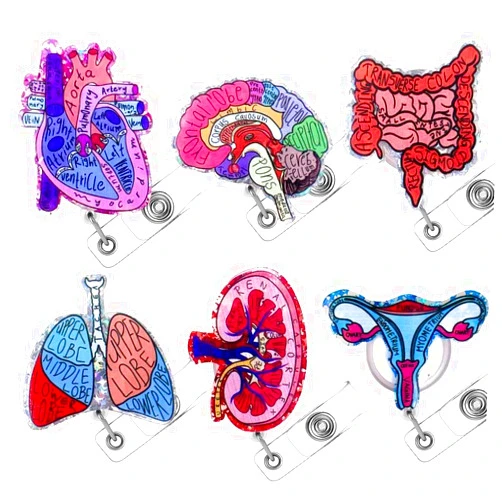 YJ PREMIUMS 6PC Anatomical Organs Nurse Badge Reels Glitter Retractable Clips Holder for Nurses Healthcare Nursing School Student Anatomy Surgery Heart Brain Lung Kidney Uterus Intestines Accessory Essentials