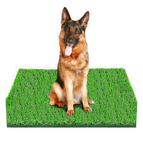Fortune-star 39.3 in X 31.5 in Grass Pad for Dogs for Professional Potty Training, Reusable Artificial Grass for Dogs, Dog Grass with Drainage Holes, Turf Dog Potty for Indoor/Outdoor Easy to Clean
