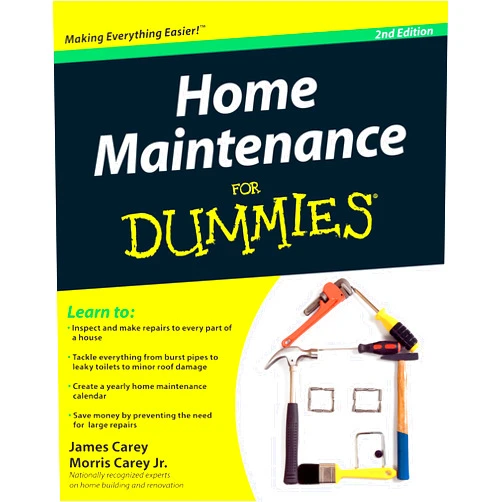 James Carey,Morris Carey Home Maintenance For Dummies