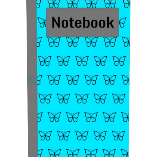 Anna Diaz Notebook