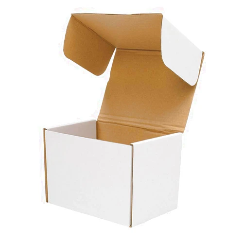 Vacclo White Corrugated Cardboard Mailing Boxes, Pack of 50, Crush-Proof, for Shipping, Mailing and Storing (6L