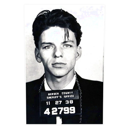 1080 Graphics Frank Sinatra Mug Shot Sticker Decal Laptop Car Window Vinyl 5