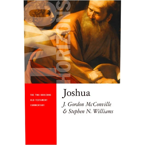 By J. Gordon McConville (Author), Stephen N. Williams (Author) Joshua (Two Horizons New Testament Commentary (THNTC))
