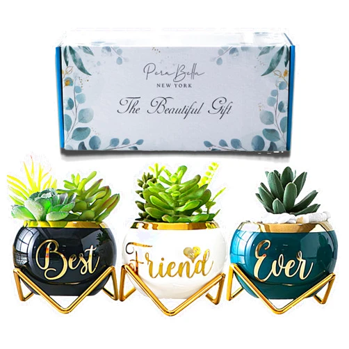 PeraBella Best Friend Birthday Gifts for Women Unique, Best Friend Birthday Gifts for Women, Birthday Gifts for Best Friend, Cute Sister Gifts from Sister,3 Pcs Succulent Pots