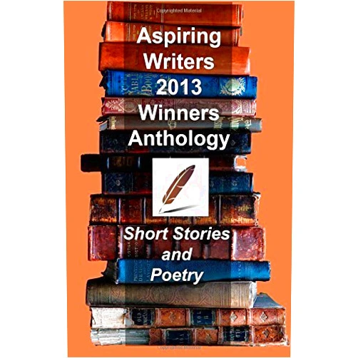 By unknown author (Author) Aspiring Writers 2013 Anthology by Riley, Betsy A, Olley, Mike, Lemon, Randall, Fix, Carrol, Da (2014) Paperback