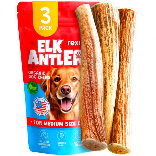 REXIPETS Medium Elk Antlers for Dogs (3 Pack) - Dog Antler Chews for Medium Breeds - Natural, Long-Lasting Treats for Aggressive Chewers - Naturally Shed in USA